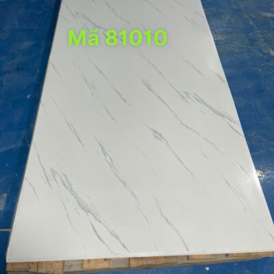 Tấm PVC 2.2mm 81010