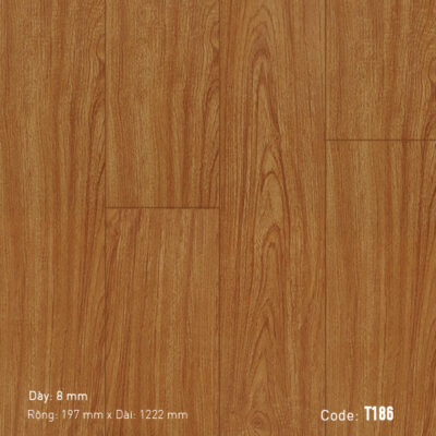 Sàn gỗ DREAM FLOOR T186