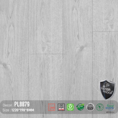 Sàn Gỗ DreamLux PL8879 Cốt Than 8MM