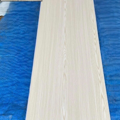 Tấm Nano 400x9 VS373