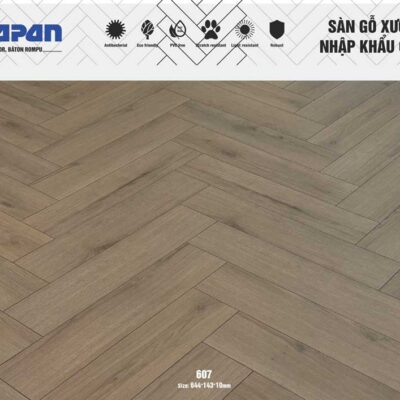 Sàn gỗ Pháp ALSAPAN 10mm 607