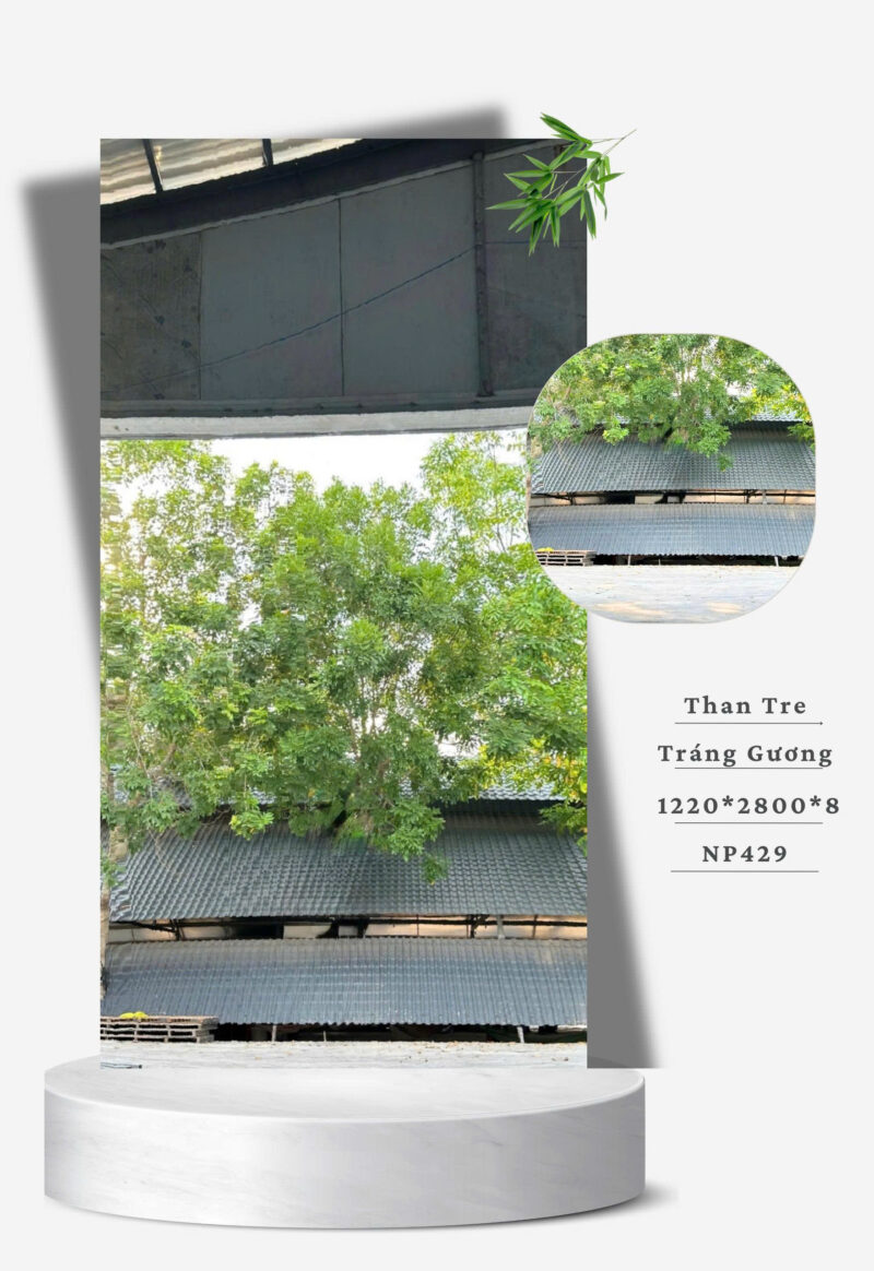 Tấm Than Tre 8mm Tráng Gương NP429